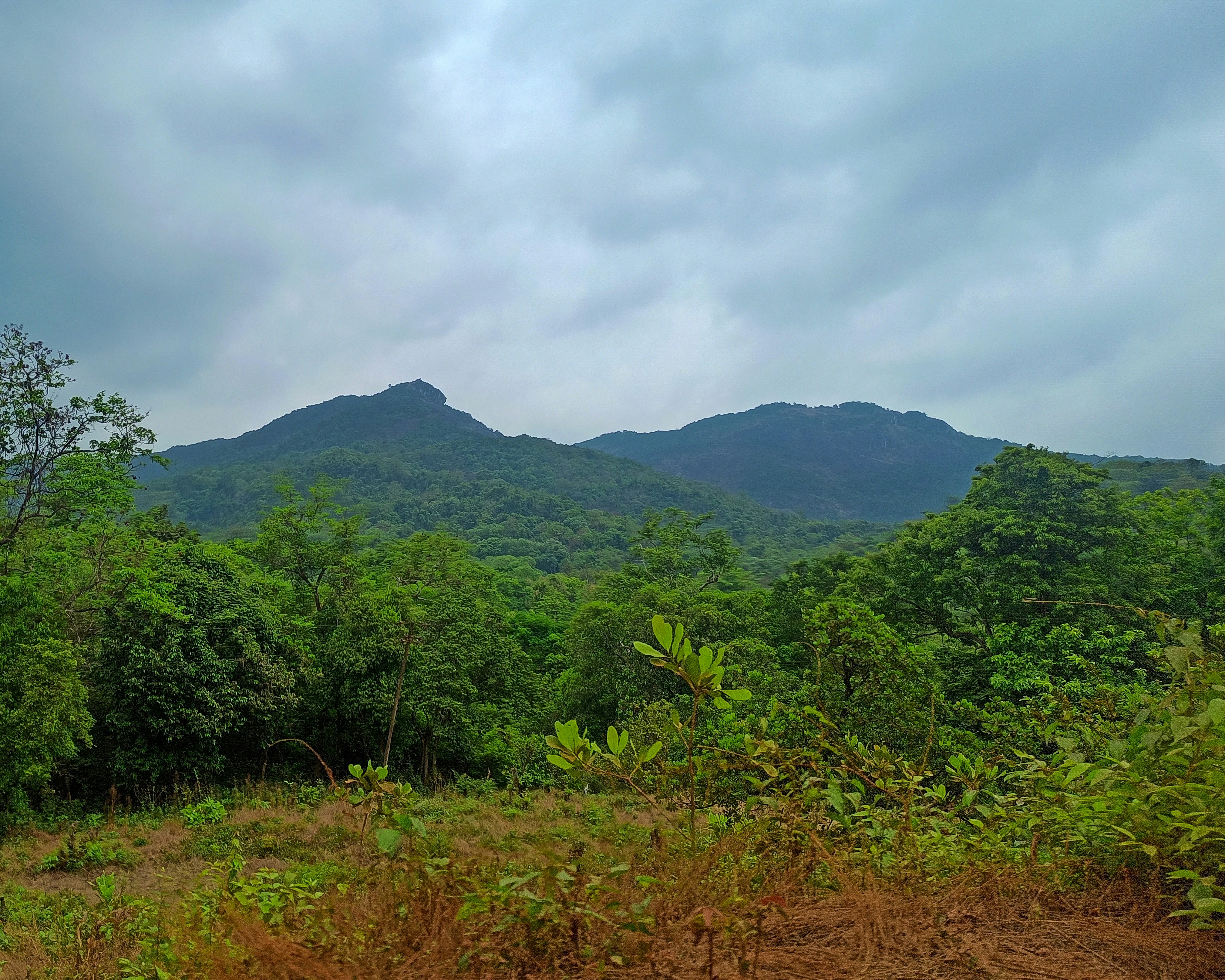 Ananthagiri Hills scenery